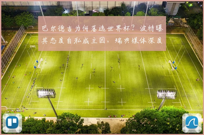 巴尔德吉为何落选世界杯？波特曝其态度自私成主因，瑞典媒体深度解析